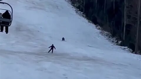 Медведь на горнолыжном склоне