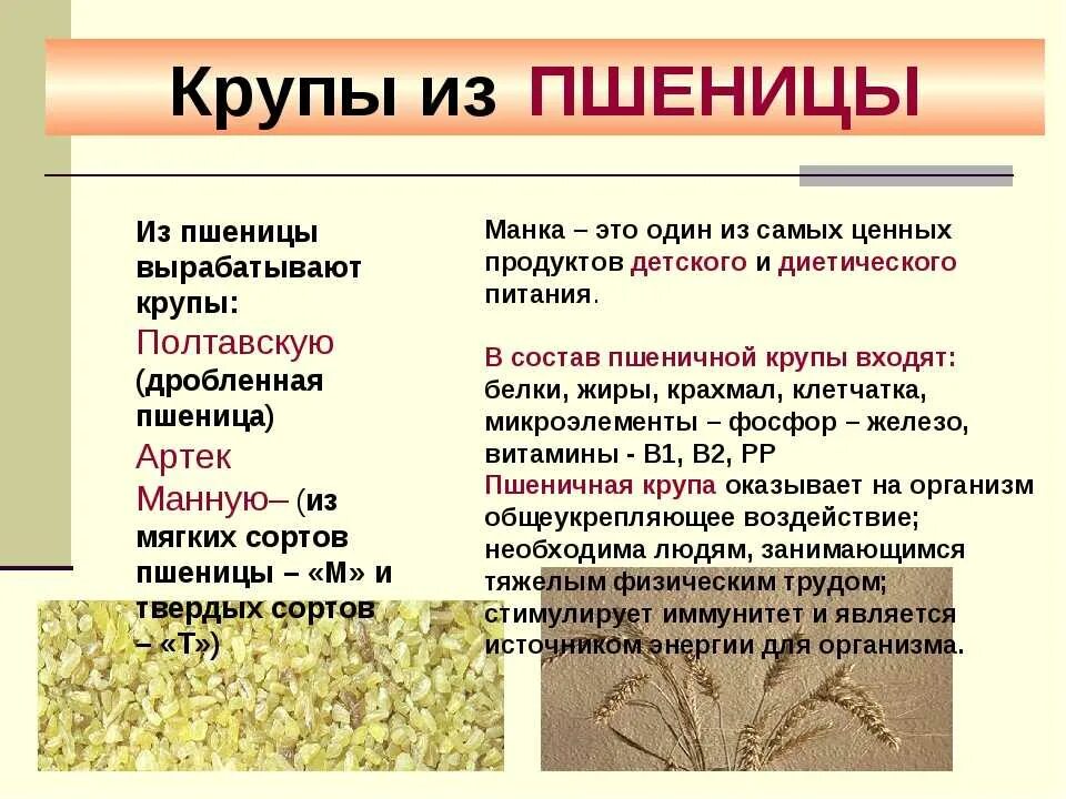 Названия круп из пшеницы. Какие крупы изипшеницы. Каша из пшеницы название. Пшеничные крупы названия. Может ли пшеничный