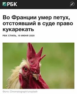 Прокашляются и закричать по всем дворам петухи