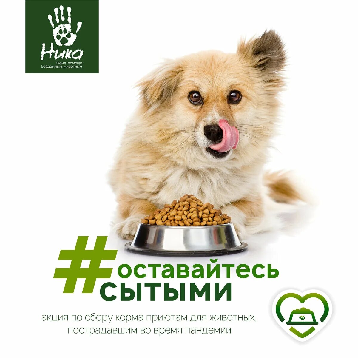 Корм для бездомных животных. Акция по сбору корма для животных. акция по сбору корма для приюта животных. корм в приют для собак. акция по сбору кормов для бездомных животных.