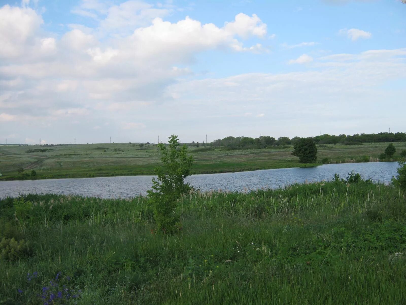 Саратовская область село елшанка