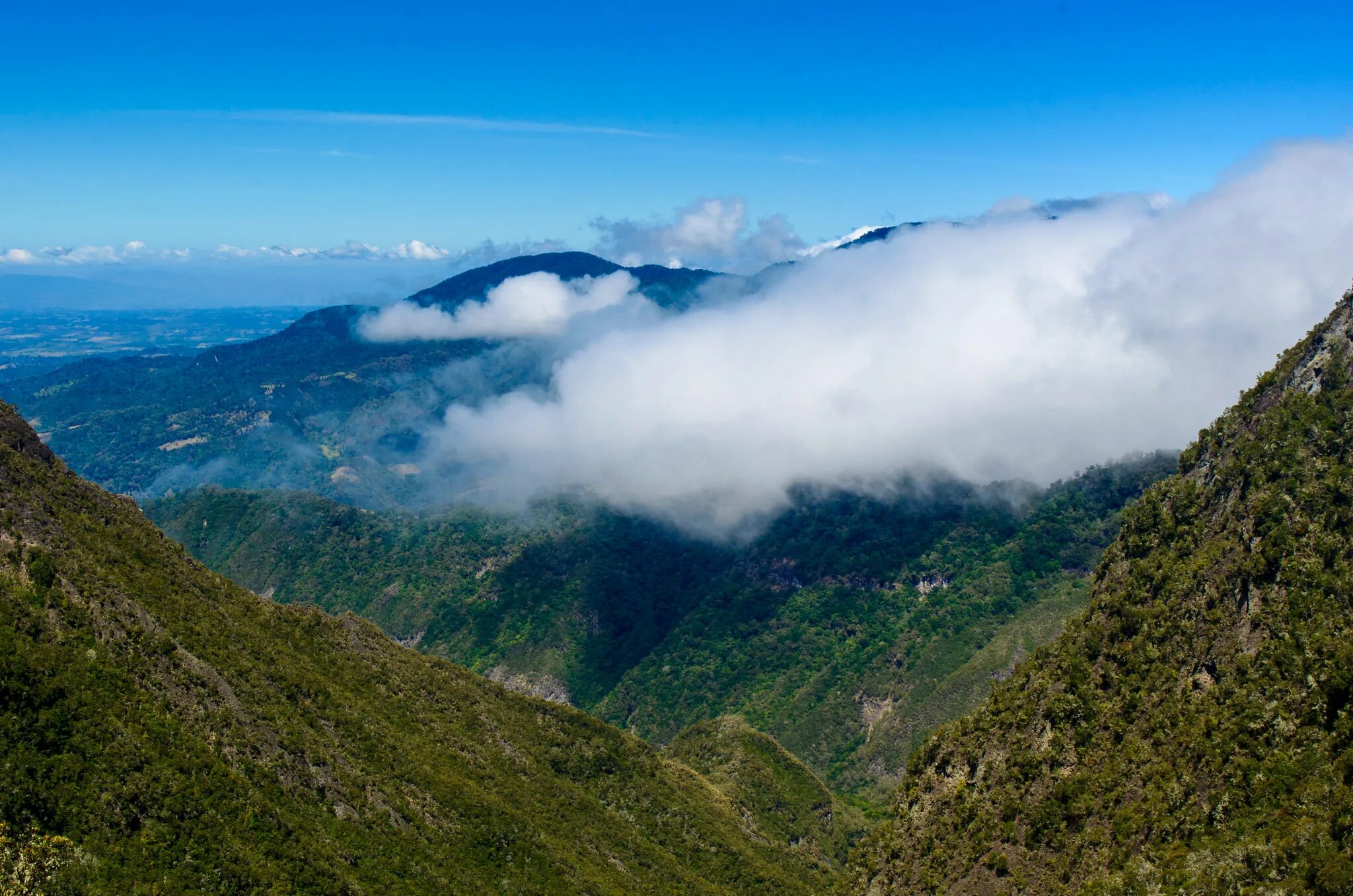 Коста рика температура. Кривая климата коста рика. Климат коста рики по месяцам. Климат коста рики. Коста рика температура.
