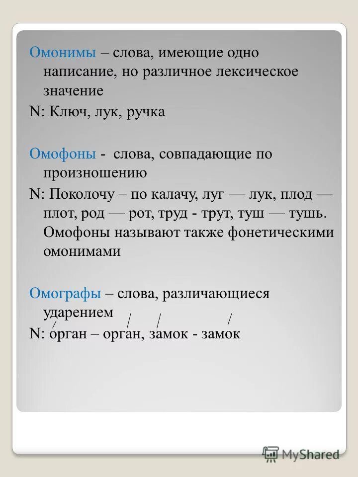 написание слов совпадает с произношением