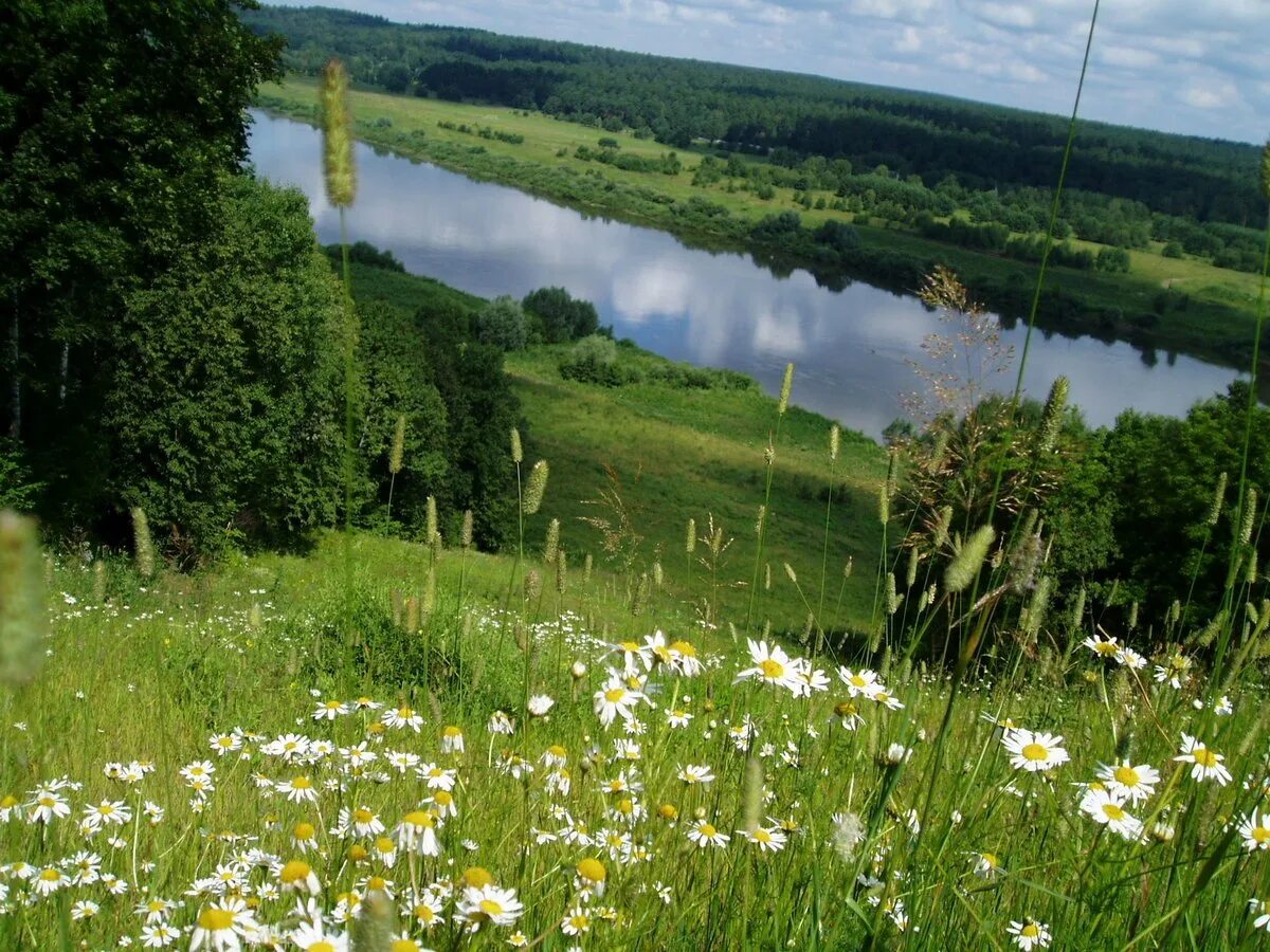 Лето в русской прозе