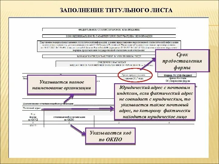 Тзв-бюджет форма. Форма для заполнения. Срок предоставления формы. Бюджет организации титульный лист. 11 краткая основные средства какой стоимостью