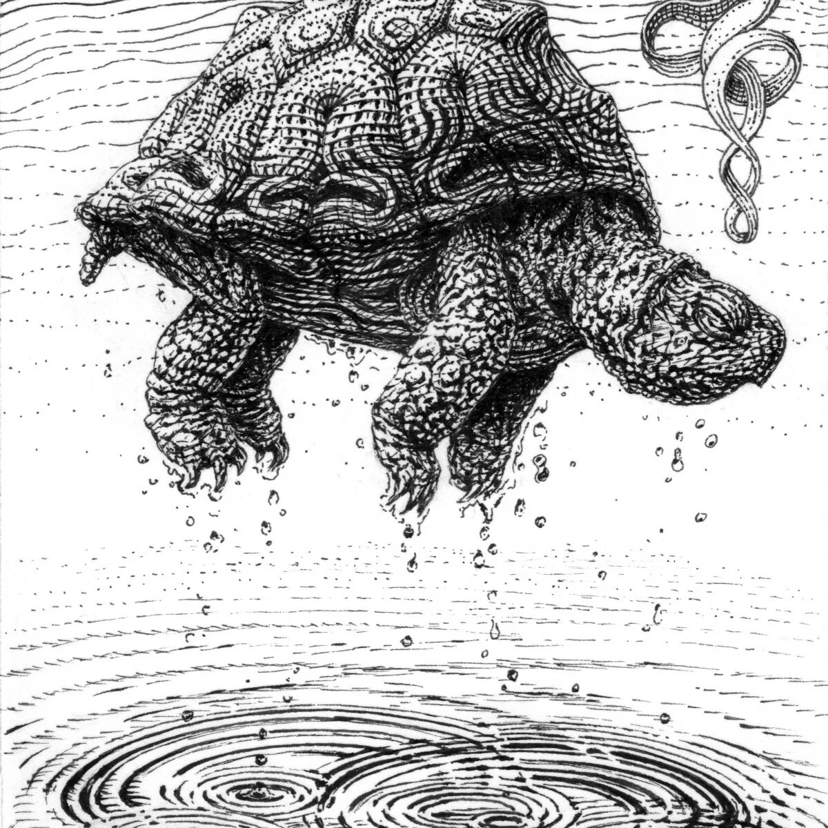 Turtle rise. Черепаха гравюра. Черепаха сюрреализм. Черепаха скетчинг. Три черепахи рисунок.