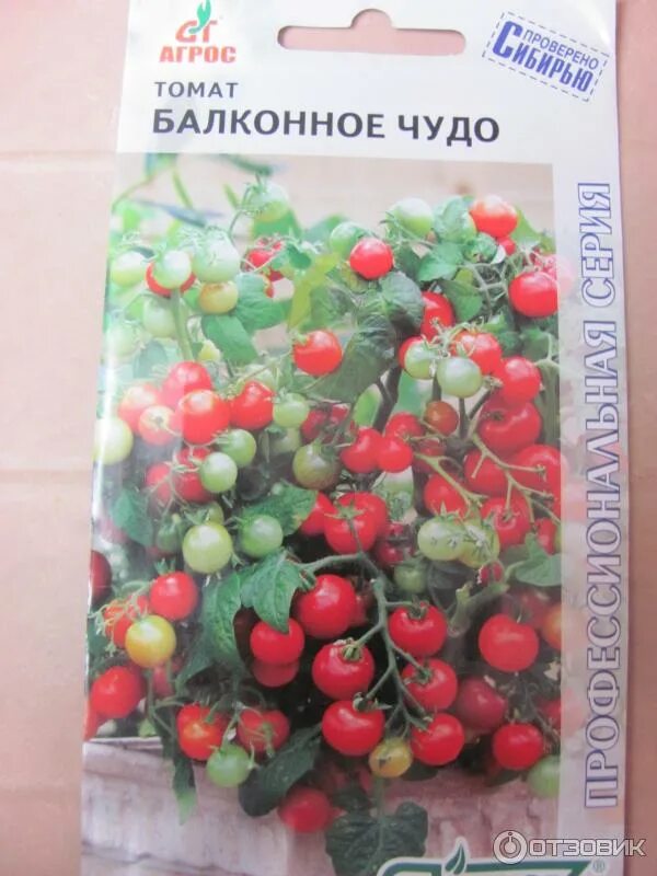 цветы виола аленушка f1. новосибирск фирма агрос семена. семена томатов фирмы агрос. агрос 2023 выставка официальный сайт. семена томатов фирмы агрос.