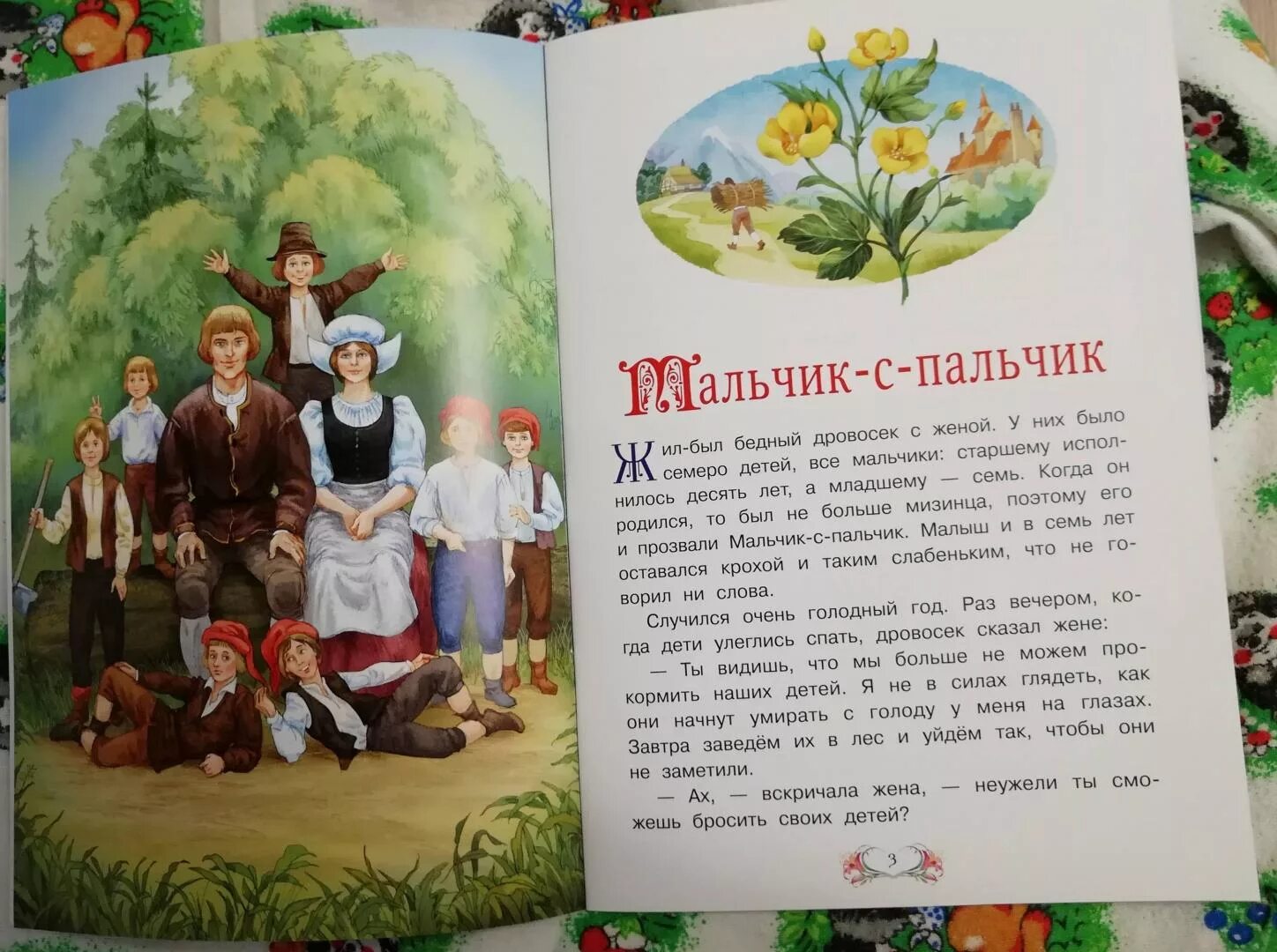 Мальчик с пальчик дневник