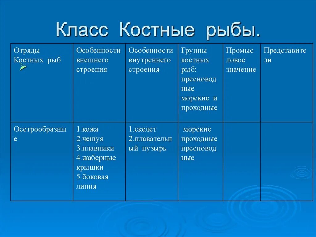 Таблица рыбы 8 класс биология. Отряды хрящевых рыб таблица 7 класс биология. Отряды хрящевых рыб таблица 7 класс. Основные отряды костных рыб таблица. Таблица отряды хрящевых рыб биология 7.