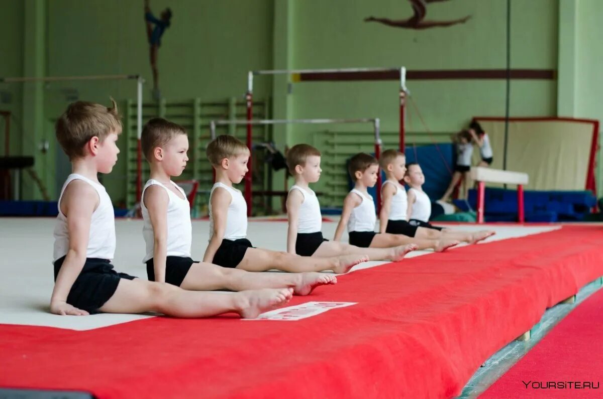 Обучение детей гимнастике. Спортивная гимнастика дети. Гимнастические занятия для детей. Спортивная гимнастика для мальчиков.