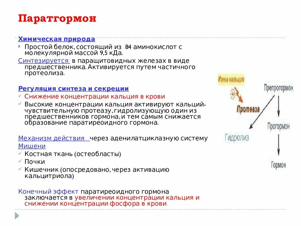 Гормоны принимают участие в. Гормоны паращитовидных желез биохимия. Химическая структура паратиреоидный гормон. Строение основных гормонов биохимия. Гормоны паращитовидных желез химическая природа.