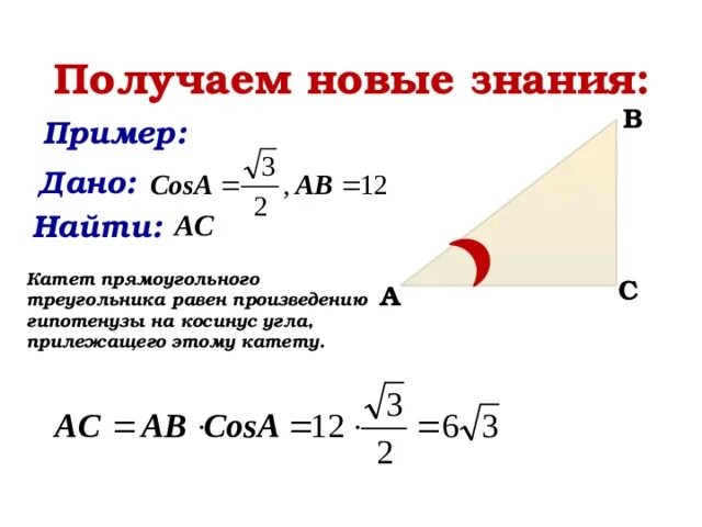 Катетер прямоугольного треугольника