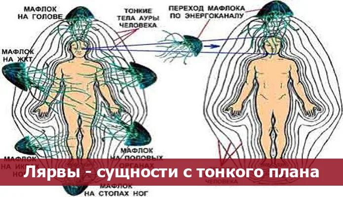 Картинки сущности которые управляют человеком. Кристаллические лярвы демо. Сущности подселенцы в человеке. Лярвы энергетические паразиты. Кристаллические лярвы демо.
