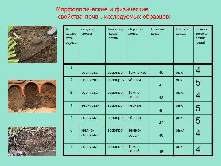 Как понять какая почва