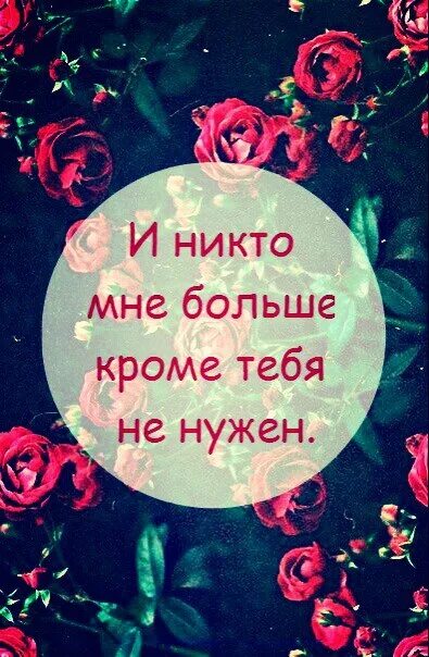 Никто не нужен кроме тебя. Никто не нуженен кроме тебя. Мне никто не не нужен кроме тебя. Мне больше никто не нужен кроме тебя.