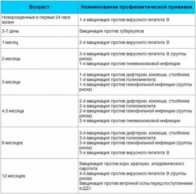 Какие прививки делают в 2 месяца новорожденному. Какие прививки делают детям до 2 месяцев. Прививки новорожденным по месяцам до года какие. Какие прививки делают детям до года по месяцам.