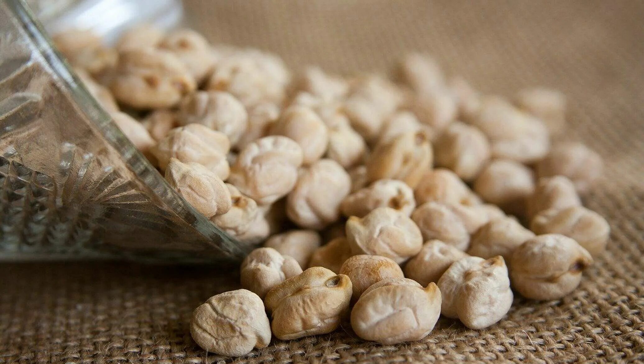 Нут при диабете 2 типа. Chickpeas. семена нута фото. нут в сахаре. болезни нута.