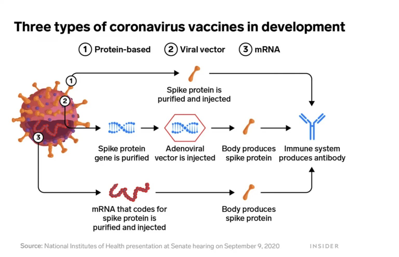 Virus vaccine. Вакцина коронавирус MRNA. Схема действия РНК вакцины. Типы вакцин от коронавируса. Векторные вакцины.