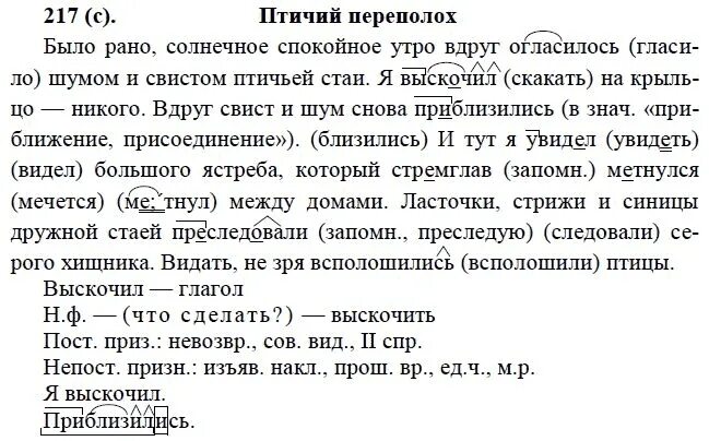 Учебник по русскому 6 лидман. Русский язык номер 217. Учебник по русскому языку 6 класс Лидман-Орлова практика. Русский язык 6 класс упражнение 217. Ответы по русскому языку 6 класс.