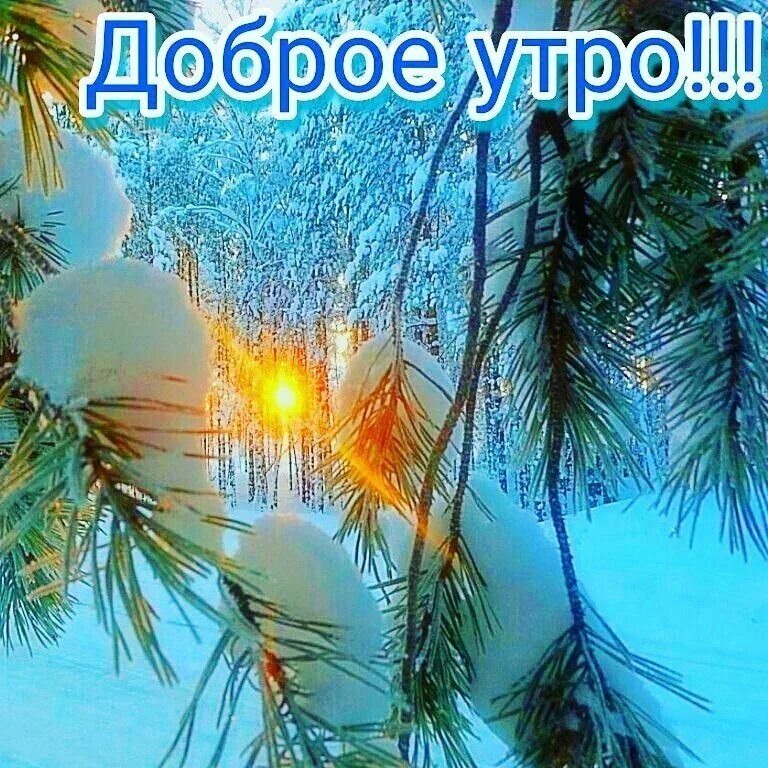 Доброе рабочее зимнее утро. Доброе зимнее солнечное утро. открытки с добрым морозным утром. доброе морозное утро. с добрым зимнем утром солнышко.