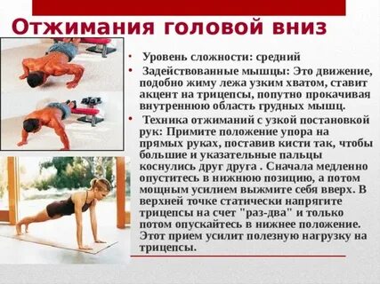 Отжимания реферат по физкультуре
