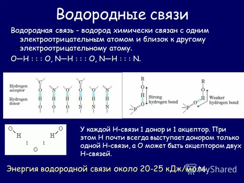 Фад-зависимые дегидрогеназы реакции. Фад + водород. Альтернативные акцепторы электронов. Акцептор водорода. Акцептор ионов водорода.