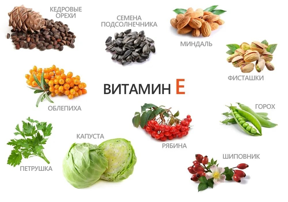 Какие продукты являются источником витамина е. В каких продуктах содержится витамин e. В каких продуктов содержится витамин е. В каких овощах и фруктах содержится витамин е. В каких продуктах содержится витамин е.