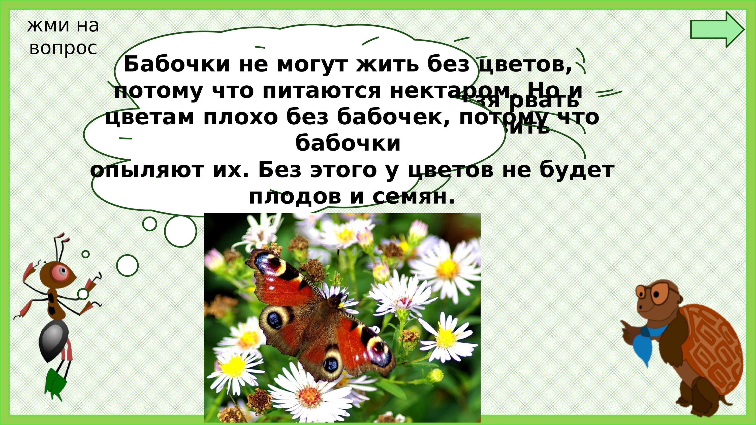 Цветам плохо без. Почему мы не будем рвать цветы. Окружающий мир 1 класс цветы и бабочки. Почему мы не будем рвать цветы и ловить бабочек. Почему мы не будем ловить бабочек 1 класс.