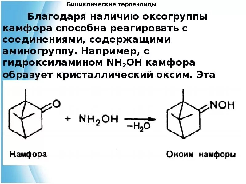 Камфора 2 4 динитрофенилгидразин. Камфора подлинность реакции. Камфора реакция образования оксимов. Камфора реакция идентификации.