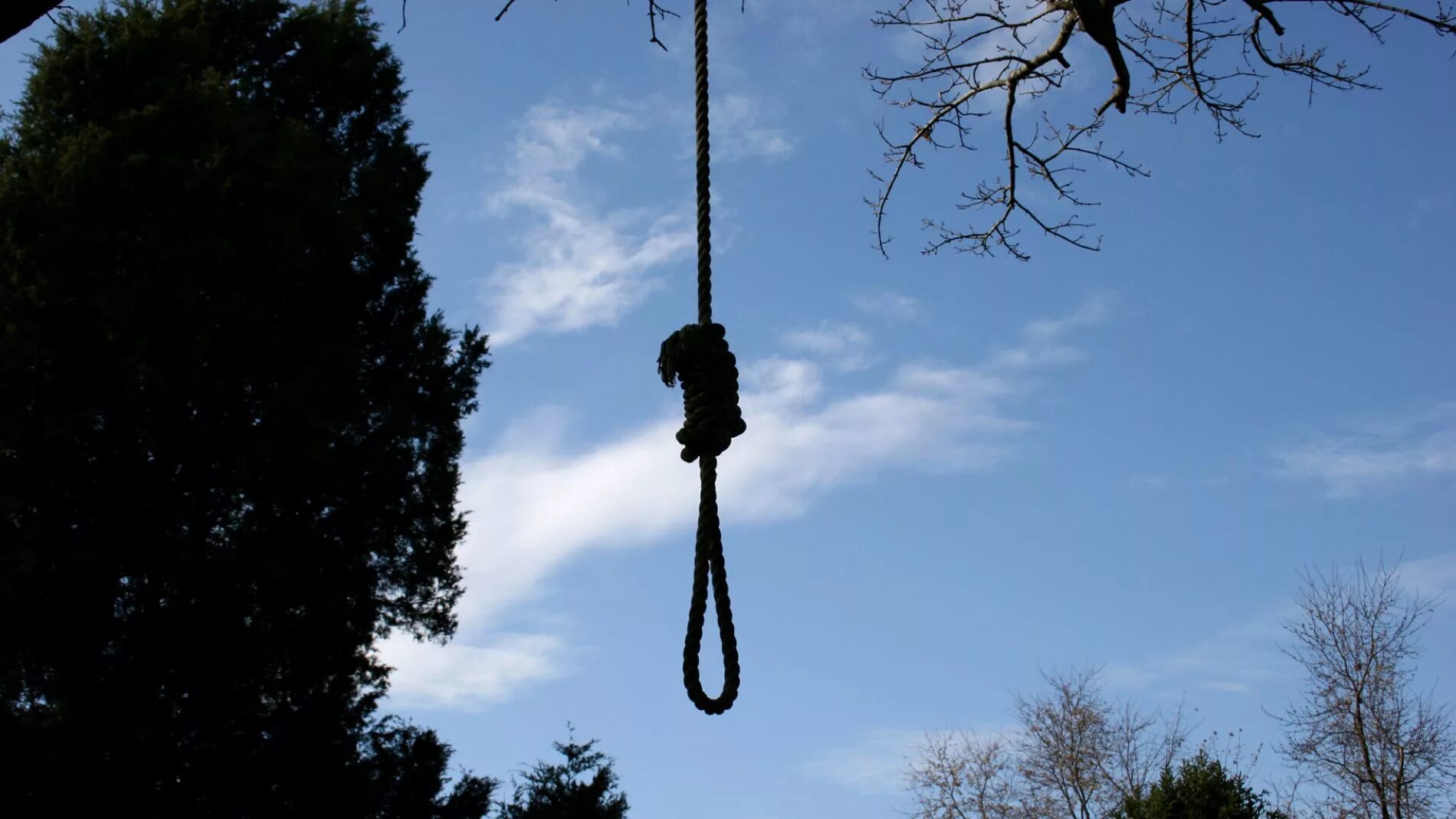Повешенный мужчина. Веревка для суицида. Веревочная петля на дереве. Петля для повешения.