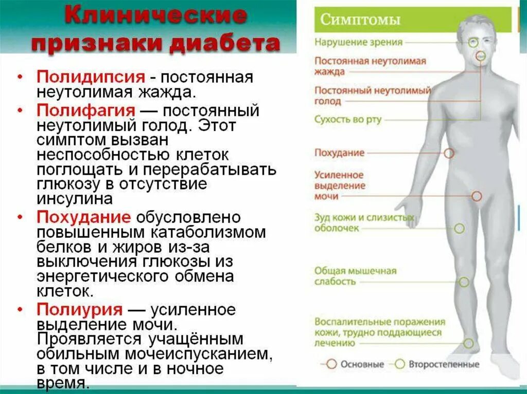 Хронические осложнения сахарного диабета 2 типа. Сахарный диабет симптомы у мужчин первые признаки 2 типа. Сахарный диабет заболевание вызванное. Симптомы сахарного диабета у женщин. Сахарный диабет.