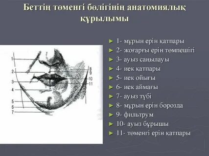 Мел Гибсон жалаңаш