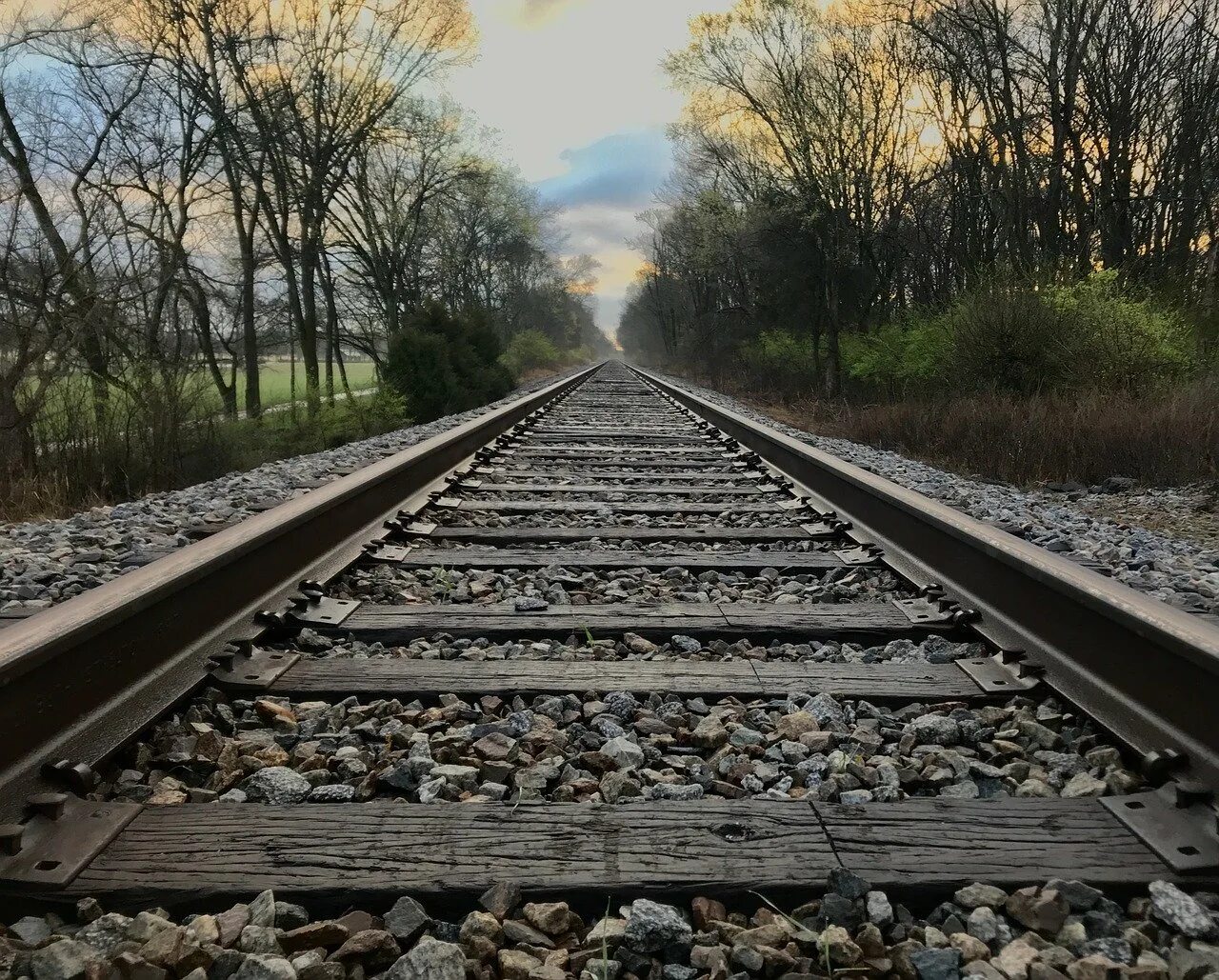 Train Railway железная дорога. Железная дорогая Rail track. Широколинейная железная дорога. Дерево пути.