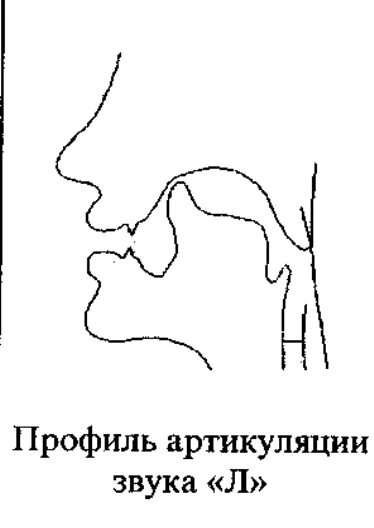 Профили артикуляции звуков. Профиль артикуляции звука л. Логопедические профили артикуляции звука л. Правильная артикуляция звука л.