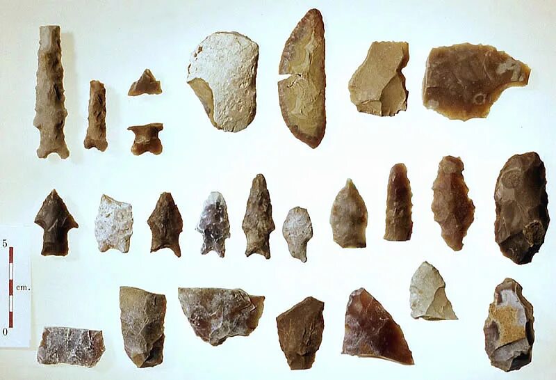 Stone tool. Наконечники стрел мезолит. Каменные орудия неолита. Кремневые орудия неолита. Каменные орудия палеолита.