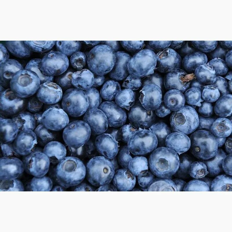 Черника blueberry. Черника в ведре. Liquid particles. Черника 70. Черника 70.