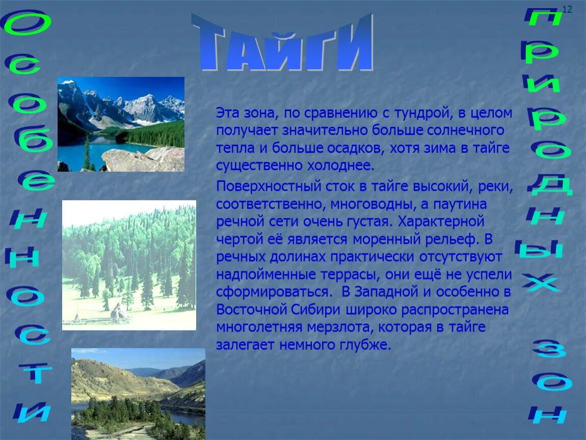 Тайга краткий рассказ. Тайга природная зона. Природные зоны России Тайга климат. Презентация на тему природные зоны. Описание тайги.