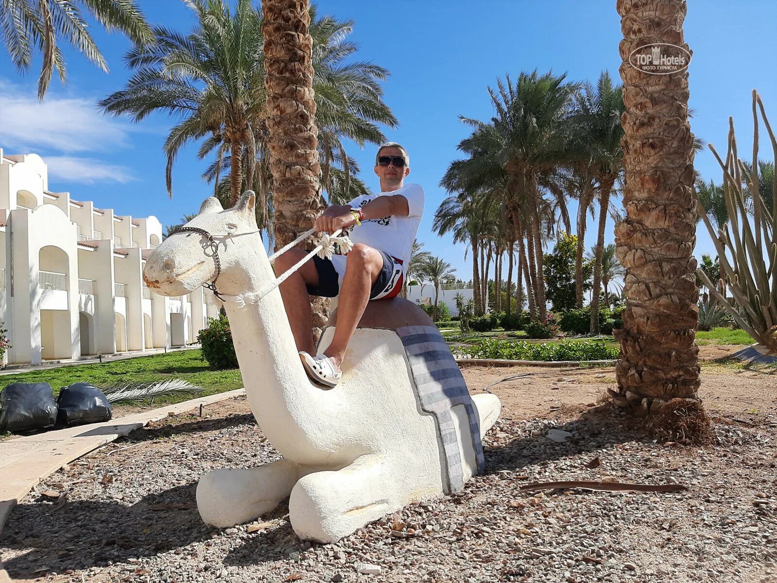 Siva sharm resort 4 шарм эль шейх. Siva sharm resort spa 4. siva sharm 4*. египет сива шарм 5 звезд. египет отель сива шарм 5.