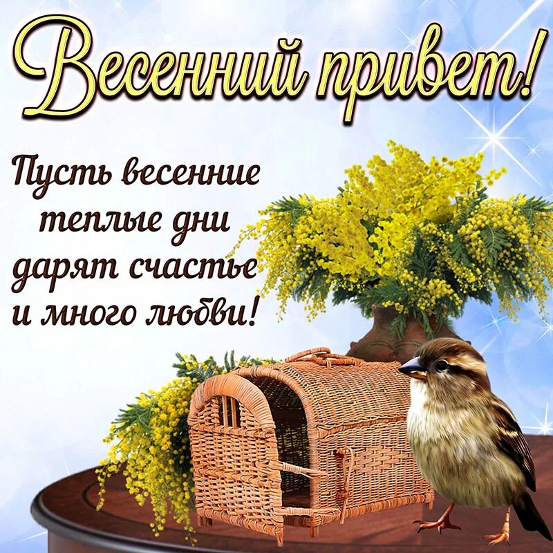 Открытки весенний привет. Весенний привет открытки. Теплый весенний приветик. Весенний привет с пожеланиями.