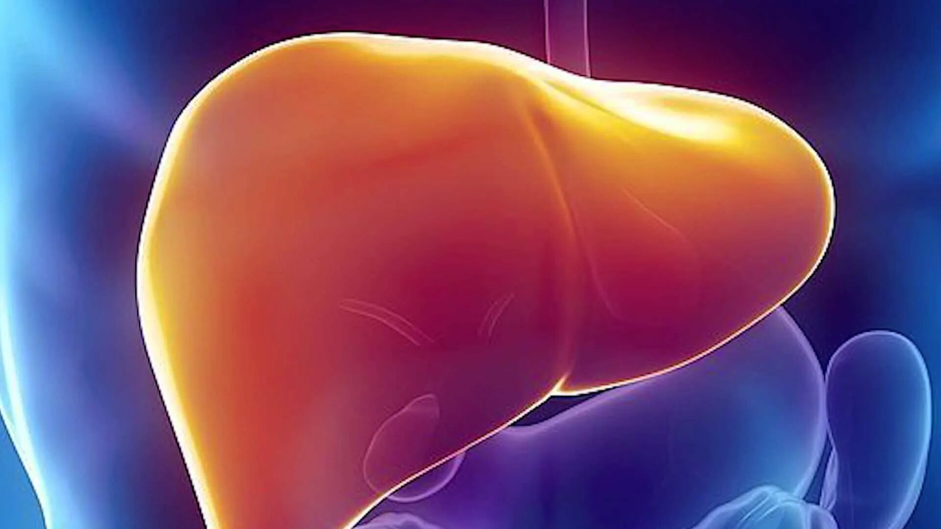 Liver analysis. печень красивая. Liver analysis. Liver analysis. Transcriptome analysis console cancer.