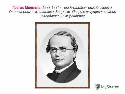 Основоположник какого жанра