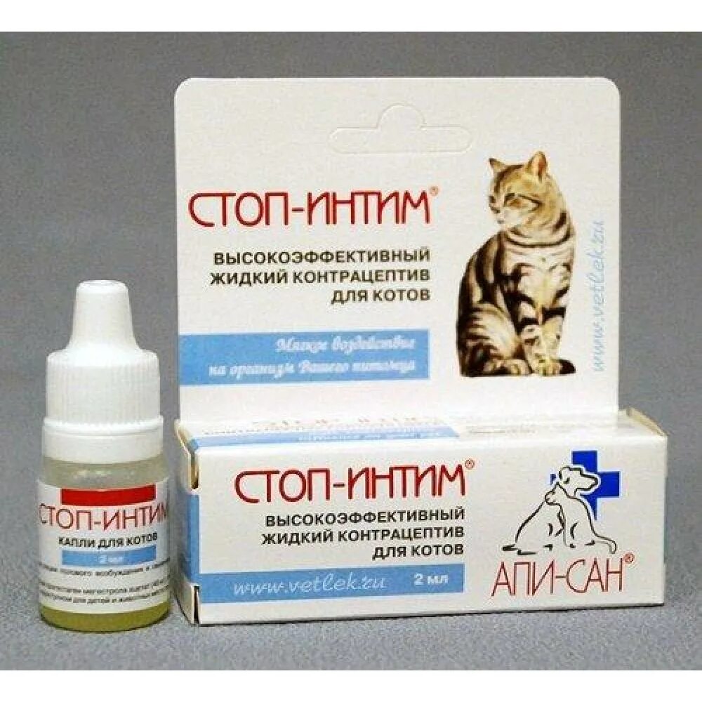 Что дать кошке чтобы не орала