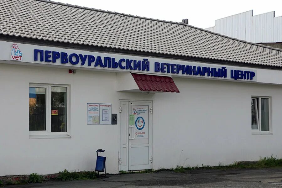 умка балаково ветеринарная клиника.