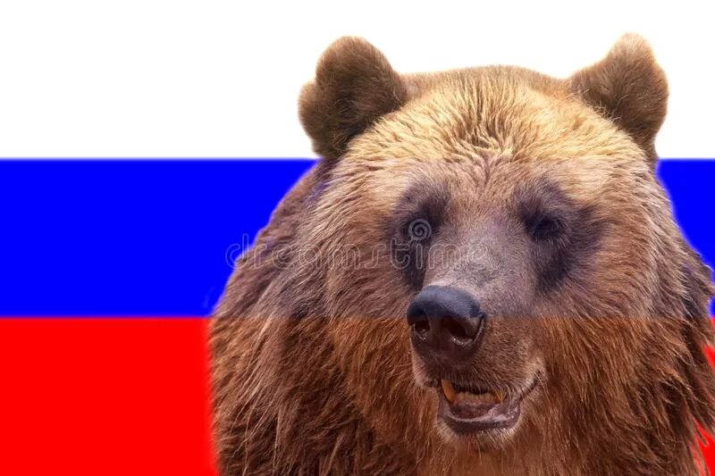 Медведь Россия. Флаг России с медведем. Медведь символ России. Флаг с медведем.