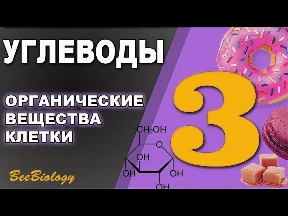 Органические вещества клетки углеводы презентация 10 класс