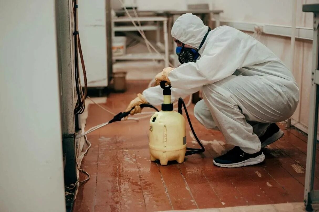 Фирмы по уничтожению клопов. Дезинфектор от тараканов. Дезинфекция от клопов и тараканов. Фирмы по уничтожению клопов. Тараканы клопы дезинсекция.