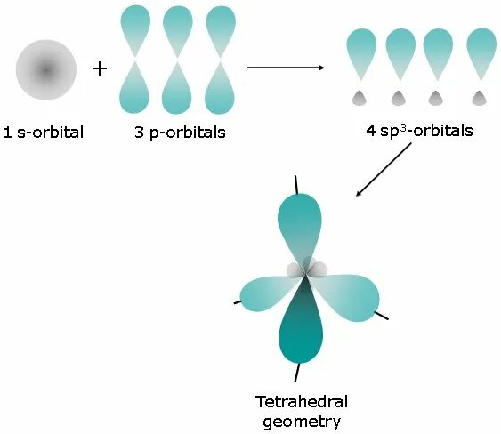 Гибридизация воды sp3. Sp3 hybridization. Sp3 гибридные орбитали. Гибридные орбитали sp3 sp2 SP таблица. Sp3d2 гибридизация.