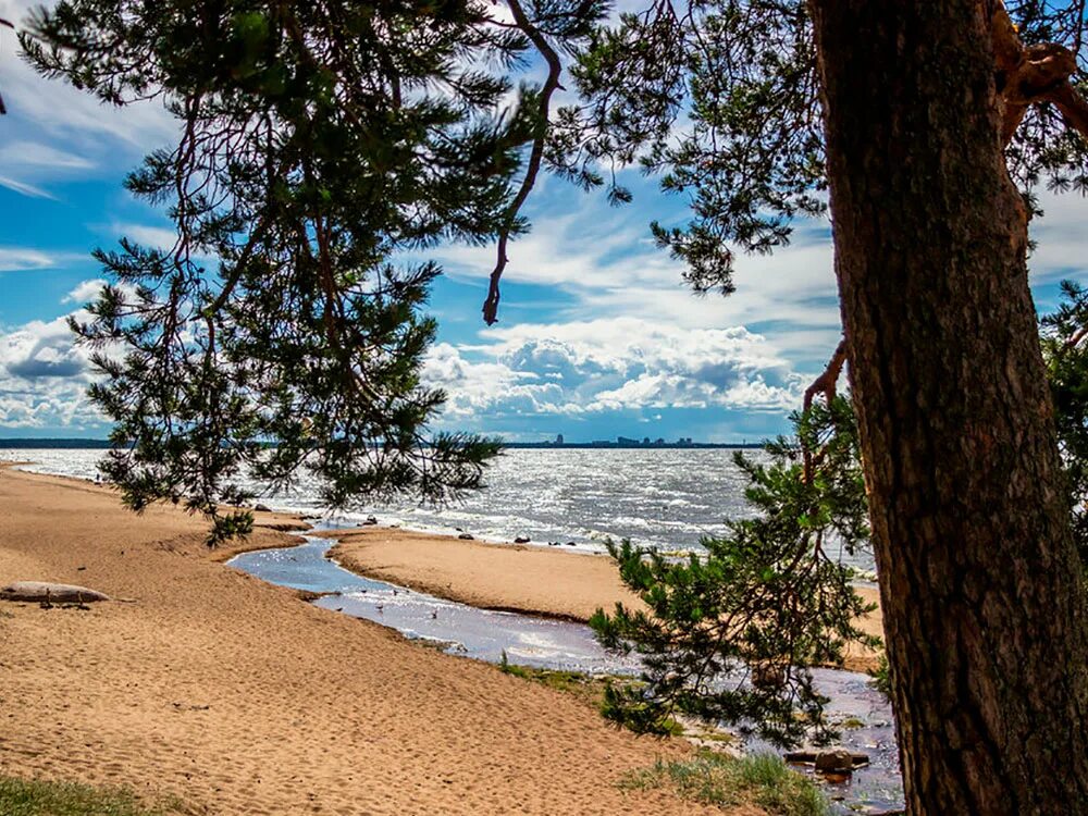 финский залив посёлок репино. сестрорецк-комарово-репино-зеленогорск. комарово финский залив. отдых на финском заливе недорого. отдых на финском заливе недорого.