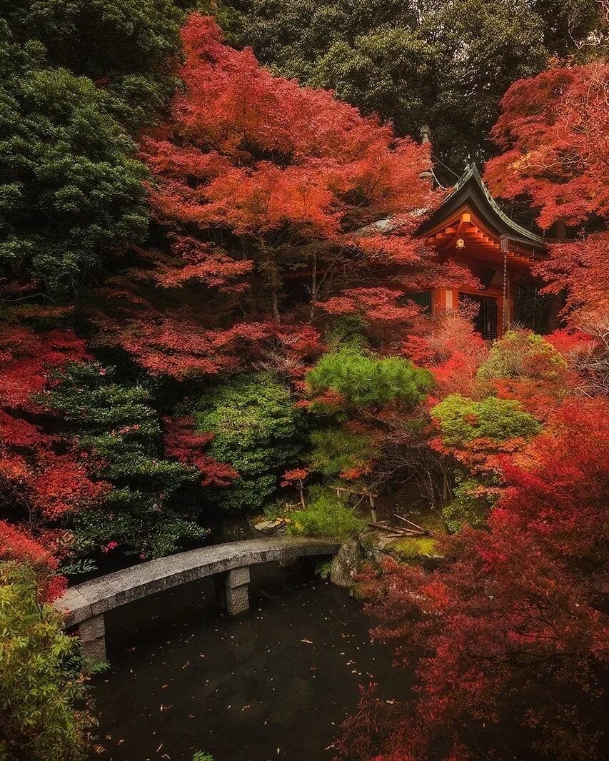 Osaka Tourist Attraction Details Scenic Japan from the Water