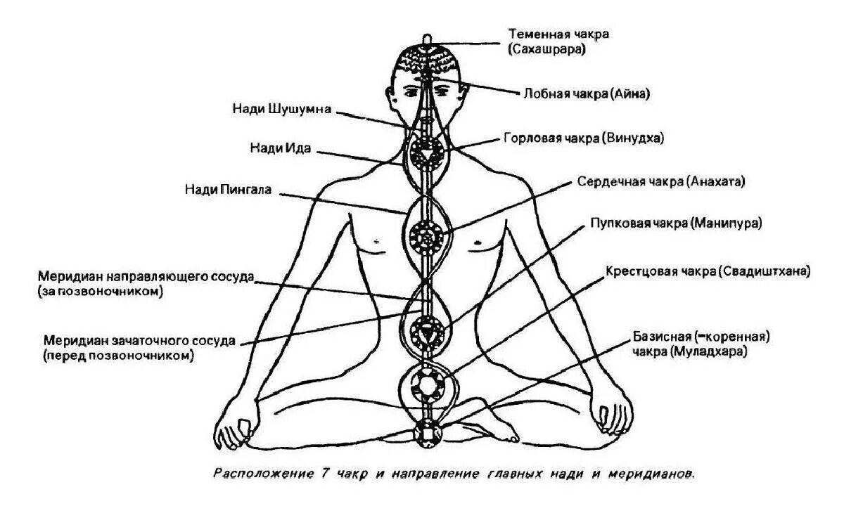 Энергетические+чакры+человека+схема. Энергетические меридианы на теле человека схема. Энергетические каналы человека схема и направления. Энергетическая система человека чакры каналы меридианы. Значение темени